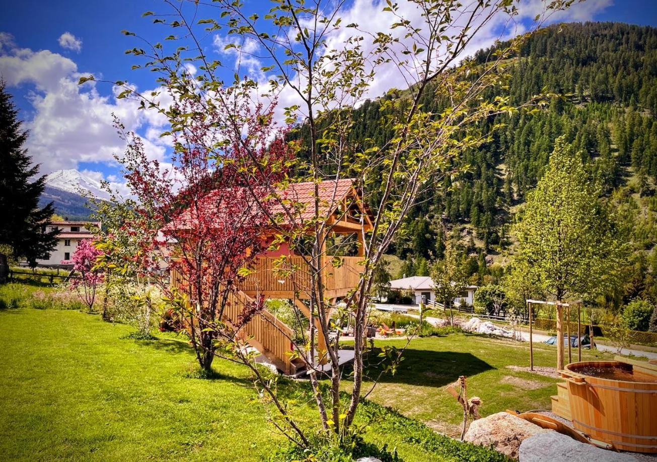B&B Villa Stelvio 산타 마리아 발 뮈슈테르 외부 사진
